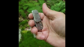 The "Reactive Armor Shield" by Wanwu