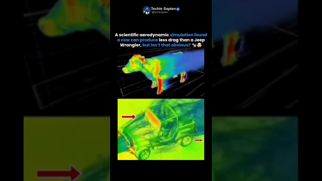 A Cow Is More Aerodynamic Than a Jeep Wrangler 🤯🐄