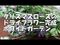 【趣味の園芸】クリロードライフラワー完成しましたが春のホワイトガーデン