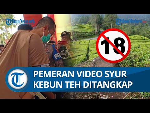 TERCIDUK! Pemeran Wanita yang Lakukan Aksi Tak Senonoh di Kebun Teh Ciwidey Diamankan Polisi