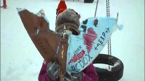 RCDOX 2011 NEURON SNOWFLAKE versus steel pole RC plane