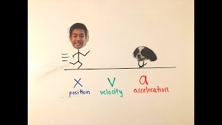 1D Kinematics: Position, Velocity, Acceleration (AP Physics 1)