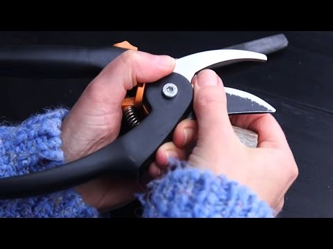 Video: Voiko oksasakset teroittaa veitsen teroittimella?