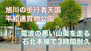 青春18きっぷで日本一周14日目 日本横断編⑥ 室蘭・石北本線 函館→網走
