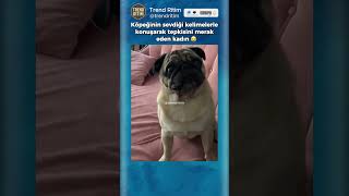 Köpeğinin Sevdiği Kelimelerle Konuşup Tepkisini Bakan Kadın