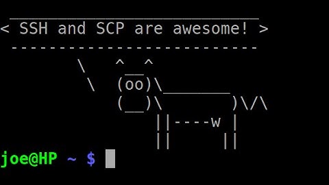 Use SSH and SCP to Manage Lots of Linux Machines