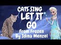 Cats Sing Let it Go from Frozen by Idina Menzel | Cats Singing Song