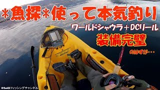 魚探で入れ食い間違いなし!?　【初めてのGPS魚探】　シーバス