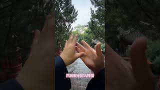 子午手印 道教參拜禮儀…….#道教文化 #道教 #道家 #道家文化