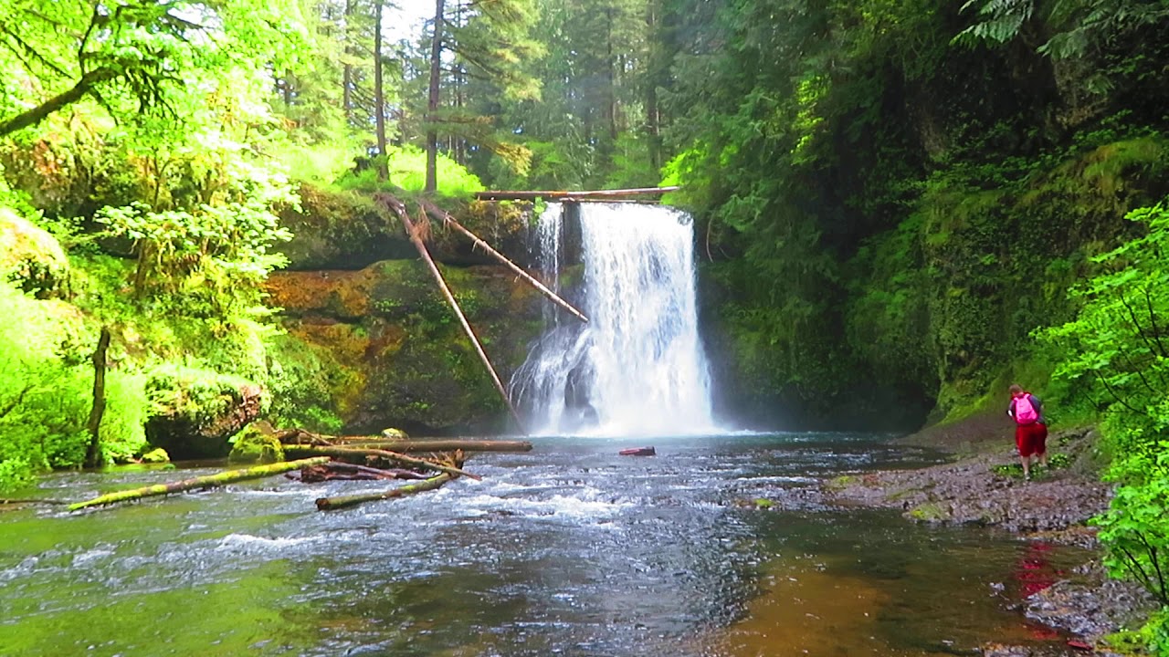 Upper North Falls at Silver Falls State Park; Oregon