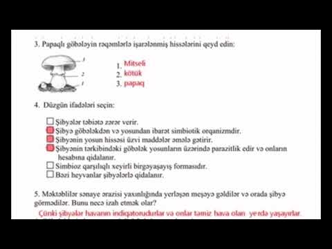 7 ci sinif Biologiya KSQ 4 (cavablar)