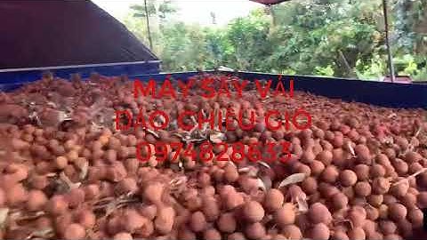 MÁY SẤY VẢI ĐẢO CHIỀU GIÓ_0974828633