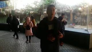 goldchina.kz Гранты на обучение в Китае .Отзывы студентов goldchina.kz Гранты на обучение в Китае .Отзывы студентов