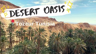 TOZEUR TUNISIA - TOUR OF THE DESERT OASIS توزر‎ (travel vlog 2019)