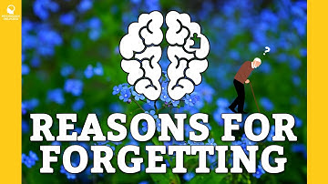 COGNITIVE REASONS FOR WHY WE FORGET: Interference and Retrieval Failures