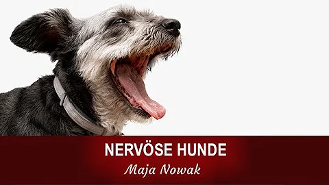 "Nervse Hunde" - von Maja Nowak