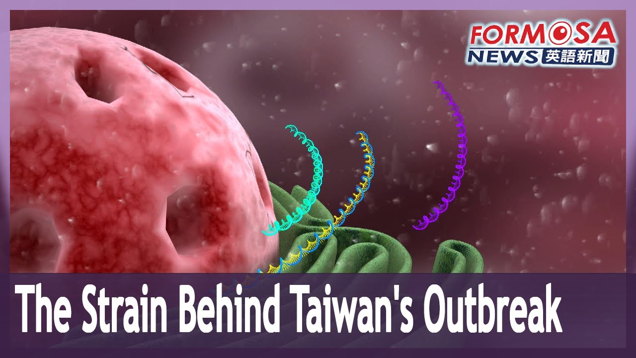 Virologist discusses features of virus behind Taiwan’s COVID outbreak