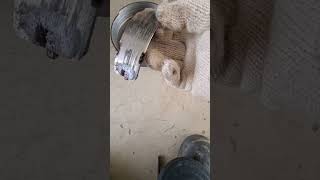how to fix, Grinding noise when braking, CLUBCAR PRECEDENT ,Replace brake shoe and drum