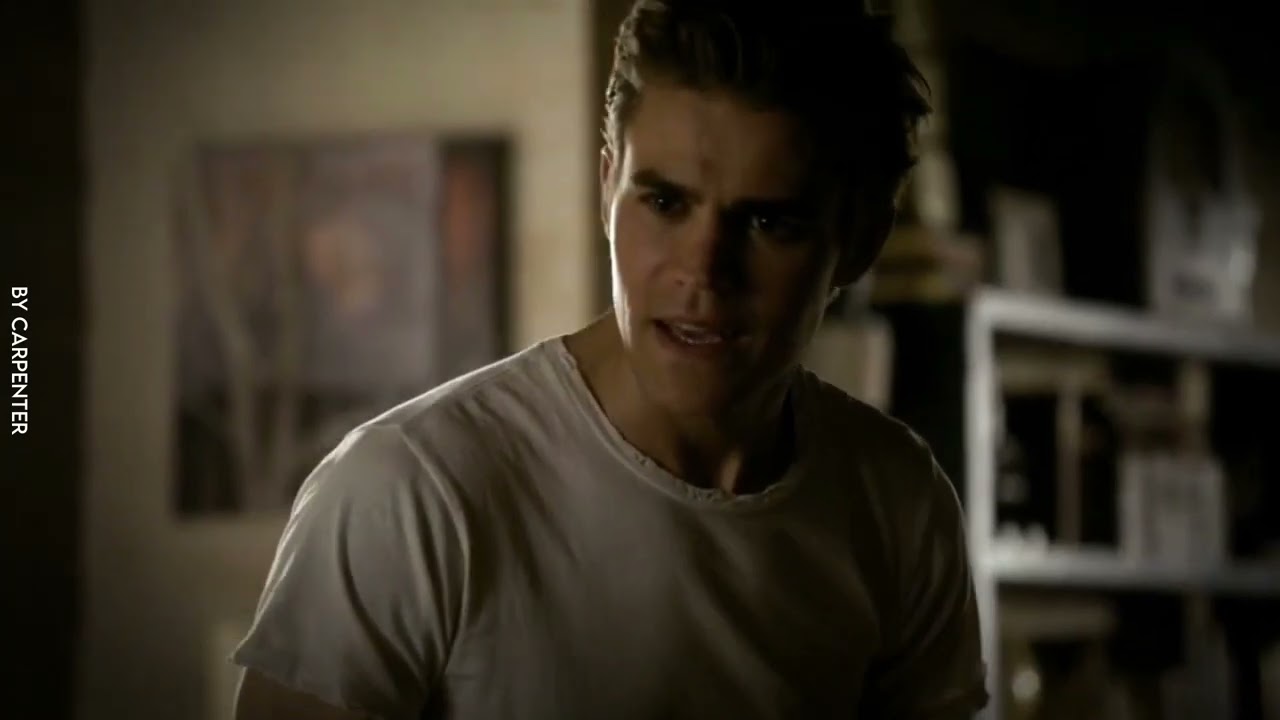 Katherine & Stefan || не приму и даром!