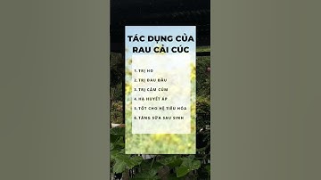 Điều gì xảy ra nếu bạn ăn rau cải cúc mỗi ngày ? #mẹovặttrongcuộcsống #mẹohaycuộcsống  #shortvideo