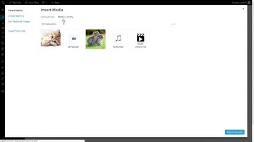 WordPress How To Video working with images adding an image from media library how to use wordpress v