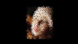 Make Photo Particle with Apple Motion