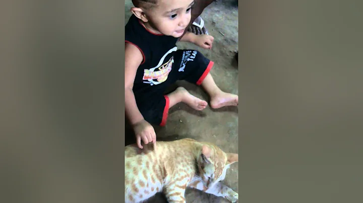 VERY FUNNY BOY PLAYING CAT (MUHAMMAD VOHRA) ANAND.