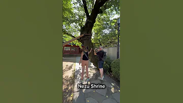 Off The Beaten Path Tour Nezu Shrine Yanaka Ginza Tokyo Station 