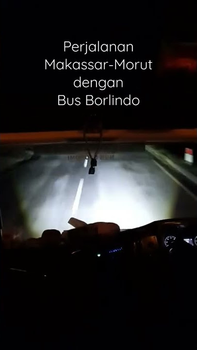 Bus Borlindo Makassar-Kolonodale #shorts #shortvideo