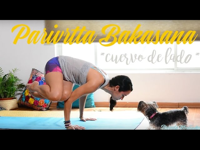 Flor de Loto Yoga: Significado y Postura Paso a Paso】Yogimi