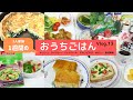 3人家族のおうちごはん Vlog.13（5/22〜5/28）外出自粛期間中、最後の1週間の食事・献立（キッシュ・グリーンカレー・チキンピカタ・ミルク寒天・HBパン・食材買物）