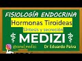 Fisiología Endocrina - Hormonas Tiroideas T3 y T4 - Síntesis y Secreción (Parte 1/3)