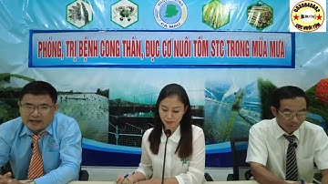 Tư vấn cách phòng và trị bệnh cong thân, đục cơ, hoại tử cơ trên tôm siêu thâm canh.