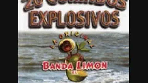 Leonardo Reyes - La Original Banda El Limon