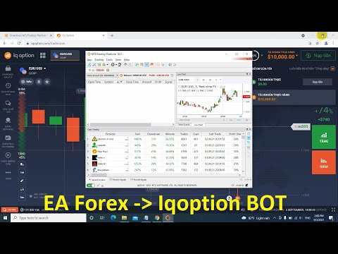 How to connect IQOPTION to MT4 with MT2 platform and create EA_BOT - [Part 1]
