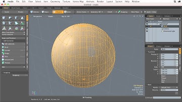 Understanding Unit Primitives