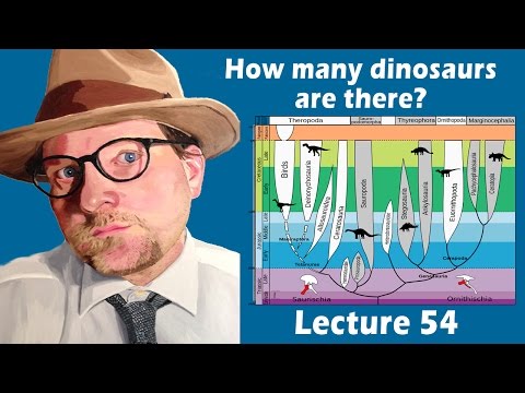 Video: Why Were There So Many Types Of Dinosaurs? - Alternative View