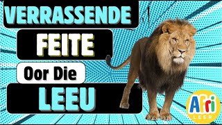 Verassende Feite oor Leeus-🦁 Wat jy moet weet!🧠