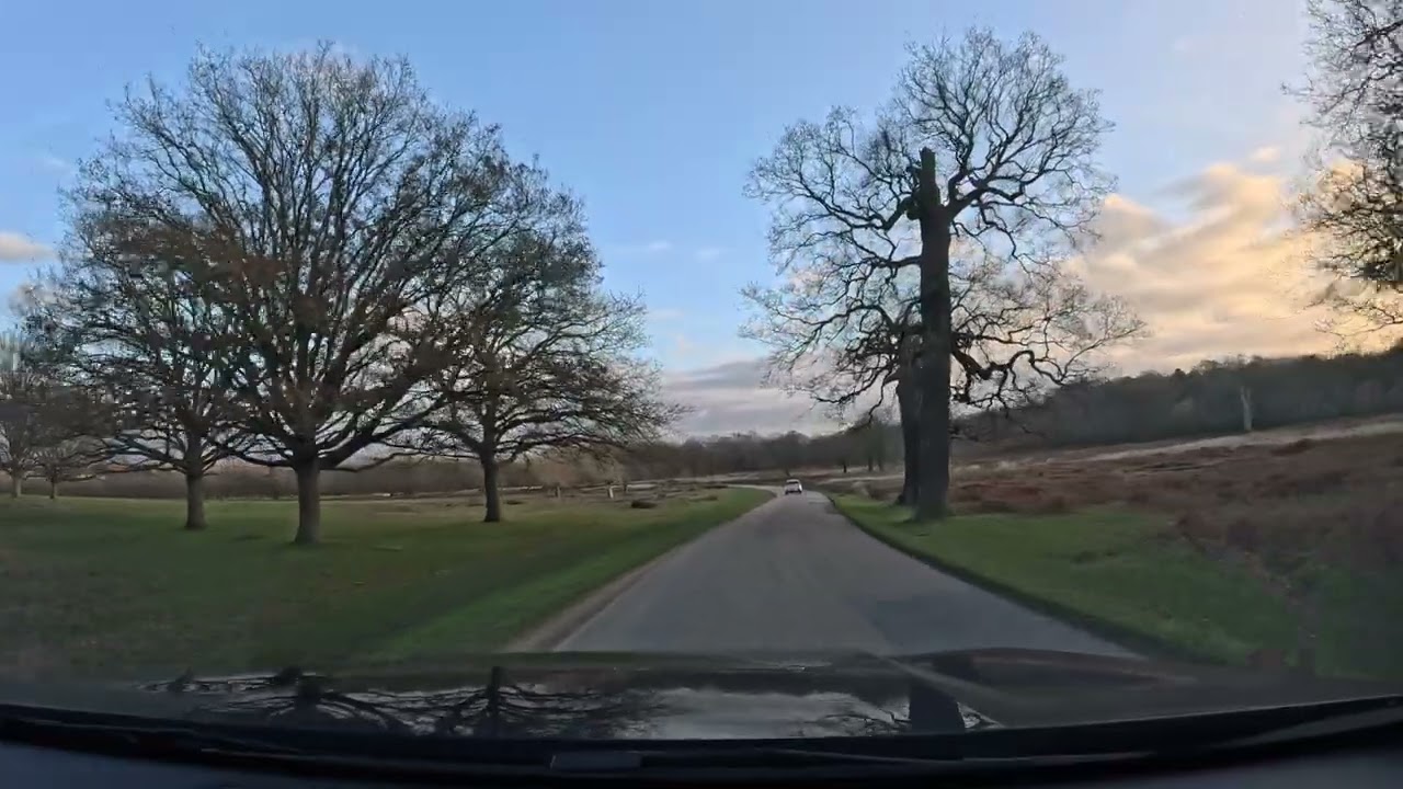 4k Video With Relaxing piano Music: Sleep Music, Stress Relief  [ Richmond Park, London]