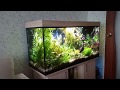 Тропический аквариум 200 литров 2 года 7 месяцев (последнее видео)