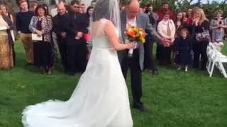 Father in wheelchiar suprises daughter by walking her down the aisle