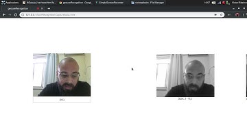 Capturing and fitting data and testing it with my neural network.