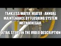 How to Clean your Tankless Water Heater: DIY with Vinegar (Annual Maintenance by Flushing System)