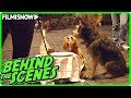 LADY AND THE TRAMP (2019) | Behind the Scenes of Disney Live-Action Movie