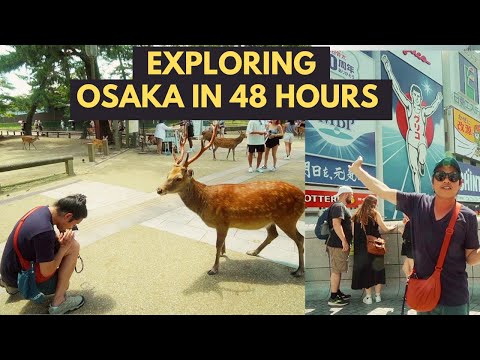 Experience OSAKA's Highlights in 48 Hours