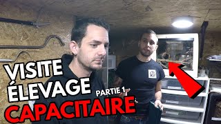 VISITE ÉLEVAGE SERPENTS DANGEREUX partie 1