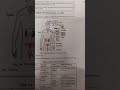 Role of Endocrine Glands | Important Questions Answers | BPCG 171