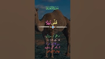 تلاوة عذبة من سورة الأنعام