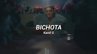 Bichota - Karol G | Rolitas y Estados