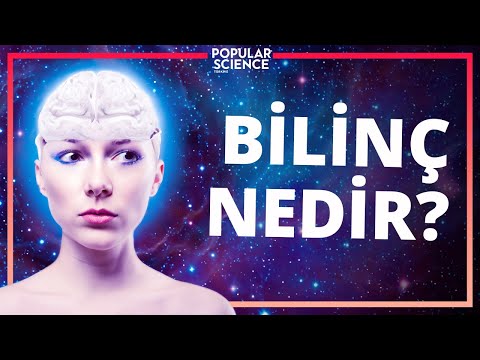 BİLİNÇ NEDİR? | Popular Science Türkiye